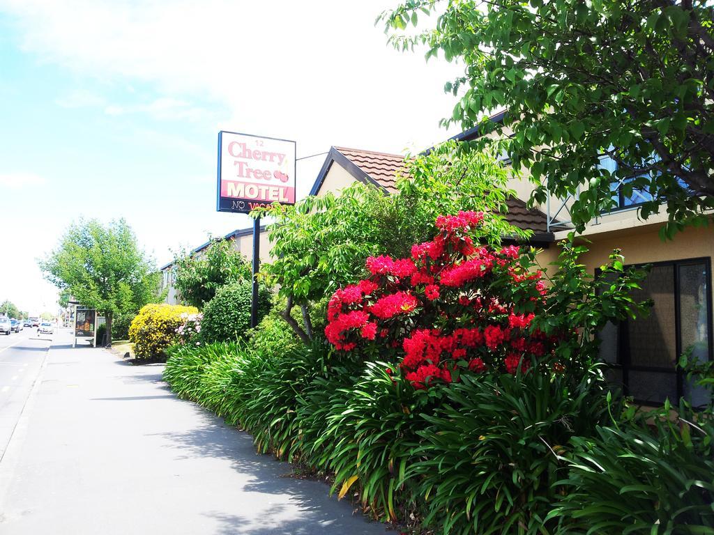 Cherry Tree Lodge Motel Christchurch Exteriör bild